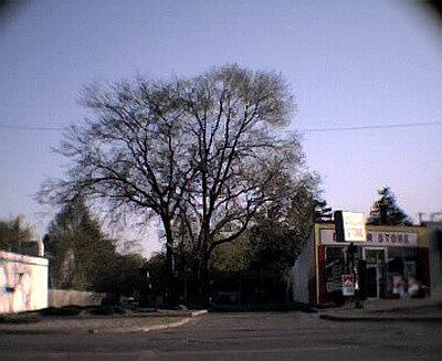 Della Theatre - The Della Now From Gary Flinn (newer photo)